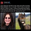 Ozzyhorsefuckoff.jpg