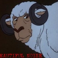 Beautiful Noise
