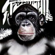 Sonic Ape