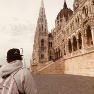 prodCardellino