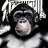 Sonic Ape