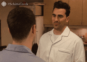 sorry schitts creek GIF by CBC