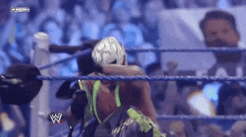 rey mysterio wrestling GIF by WWE