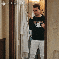 Say What Schitts Creek GIF by CBC