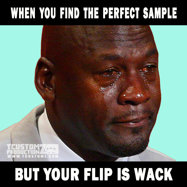 01-when-you-find-perfect-sample-flip-wack.png